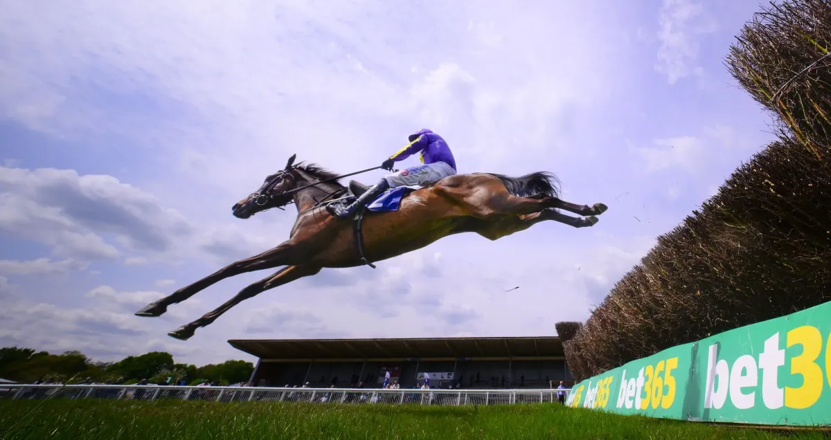 Family Fun Day at Newton Abbot Racecourse | 28 October — Newton Abbot Racecourse