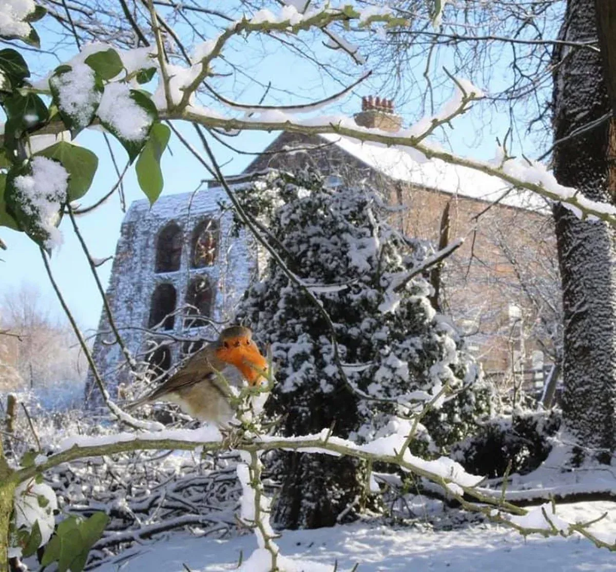 Christmas Craft Fair — Moira Furnace Museum & Country Park